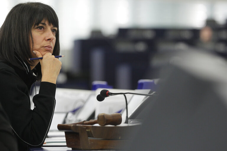 Photo 10: Plenary Session in Strasbourg - Week 46