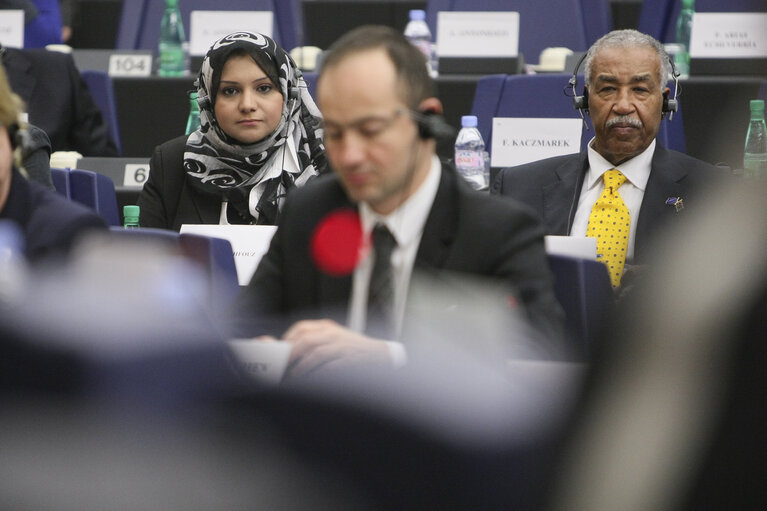 Fotografie 1: Sakharov Prize 2011. Arab Spring. Meetings with EPP GROUP