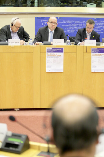 Foto 7: Hearing on  Fundamental Rights