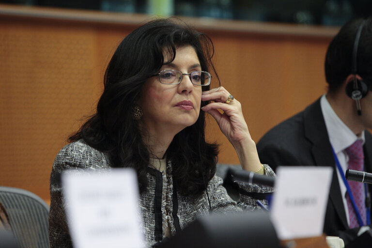 Foto 16: Committee on the Internal Market and Consumer Protection: Market Surveillance