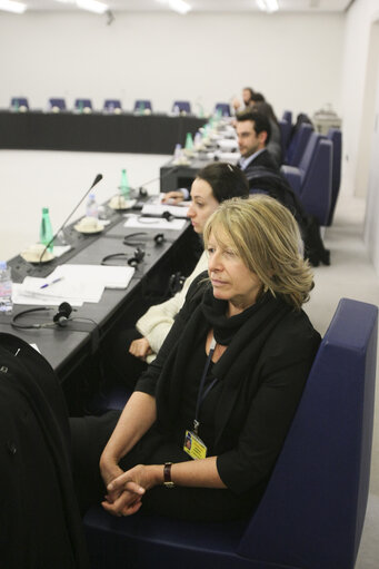 Fotó 4: MEPs and journalists.  EPIO Milan