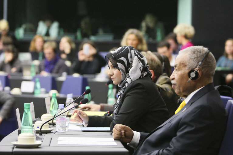 Billede 2: Sakharov Prize 2011. Arab Spring. Meeting with GREENS GROUP