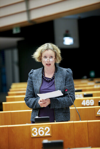 Foto 5: Plenary Session in Brussels - Week 48