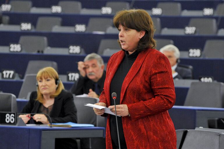 Photo 19 : Plenary Session week 50 - Conclusions of the European Council meeting ( 8/9 december 2011 )