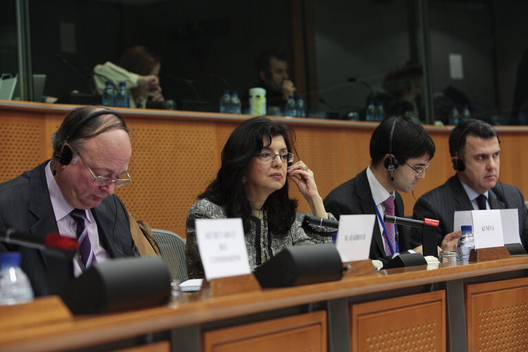 Foto 14: Committee on the Internal Market and Consumer Protection: Market Surveillance