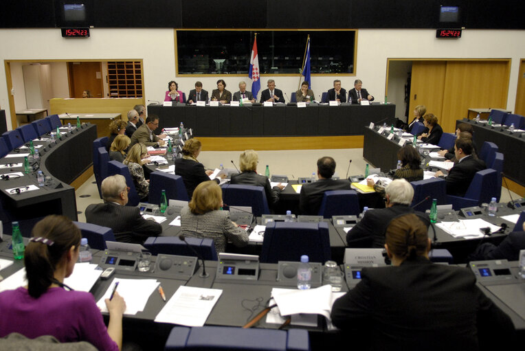 Valokuva 11: The EU-Croatia joint parliamentary Meeting