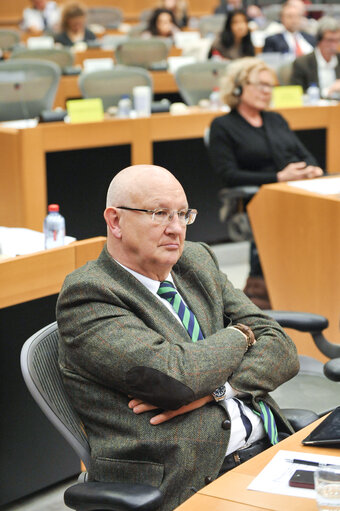 SEDE - Development of military capabilities