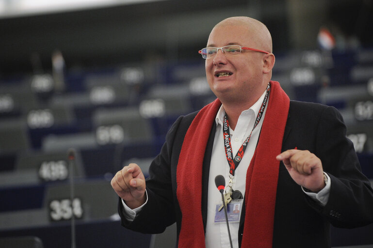 Fotografie 22: Plenary Session in Strasbourg week 46