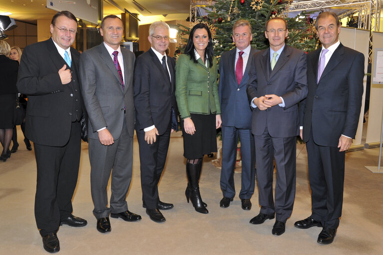 Reception of an Austrian Christmas tree