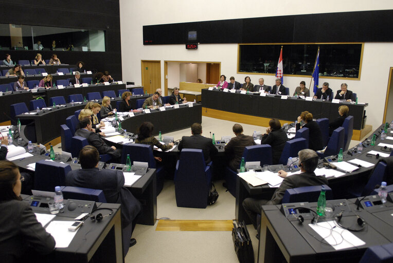 Снимка 12: The EU-Croatia joint parliamentary Meeting