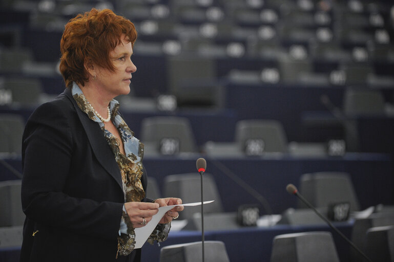 Fotografie 34: Plenary Session in Strasbourg week 46