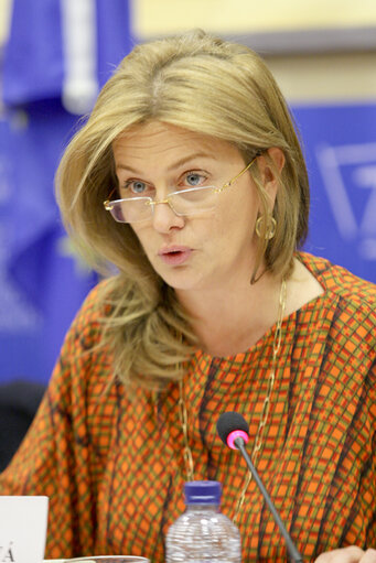 Foto 13: Hearing on  Fundamental Rights