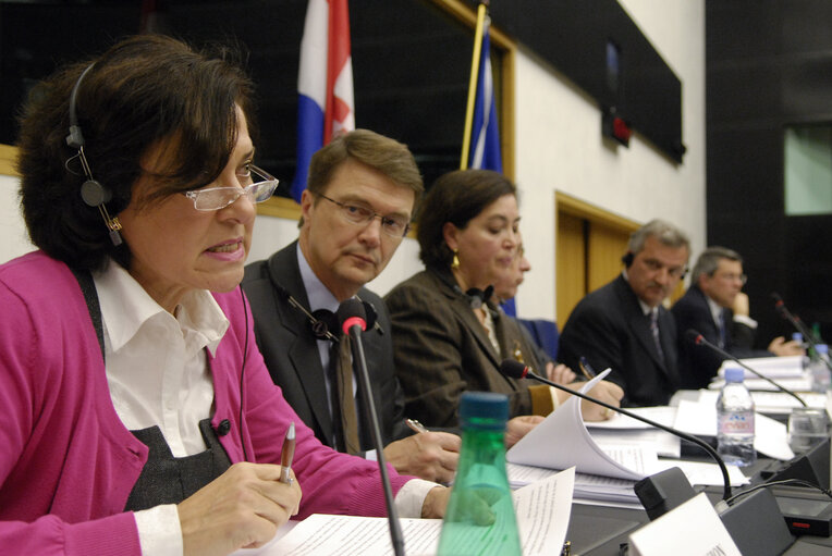 Valokuva 2: The EU-Croatia joint parliamentary Meeting