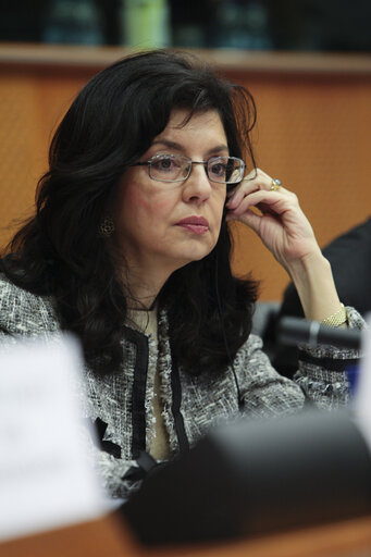 Foto 12: Committee on the Internal Market and Consumer Protection: Market Surveillance