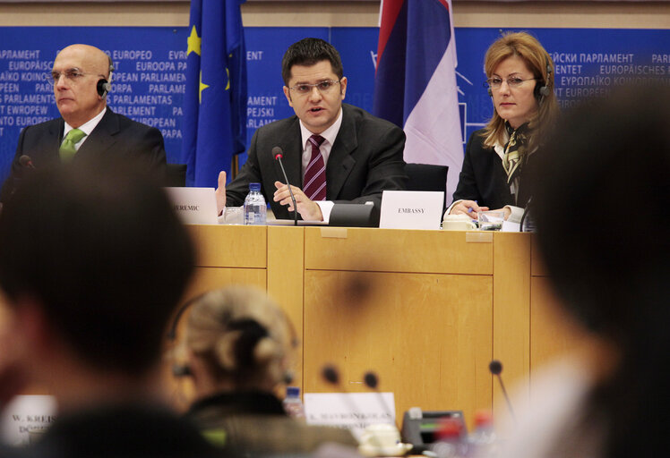 Photo 1 : Committee on Foreign Affairs   Discussion with Vuk JEREMIC, Minister of Foreign Affairs of the Republic of Serbia