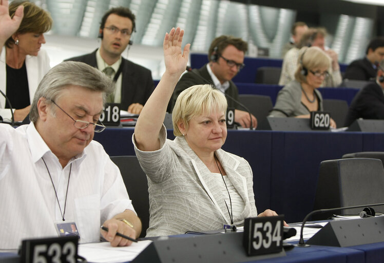 Fotografie 1: Portrait of MEP Vera FLASAROVA