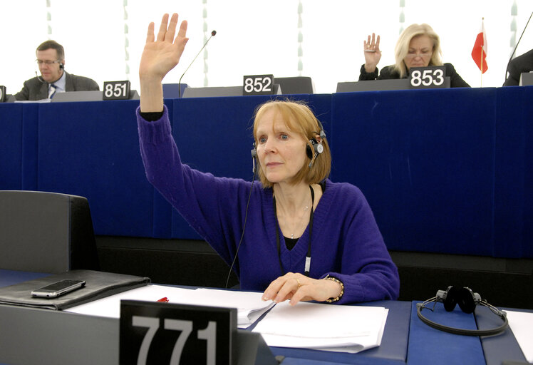 Fotografija 2: Kathy SINNOTT MEP in Plenary Session in Strasbourg