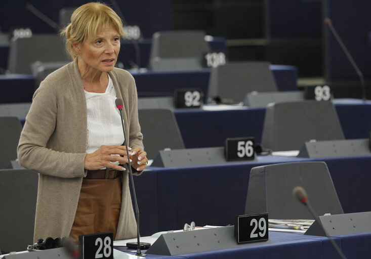 Fotografi 9: MEP in Plenary Session week 43