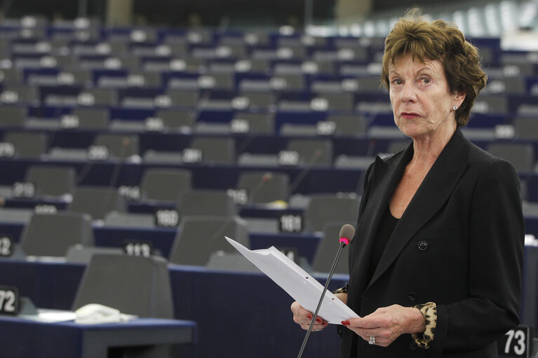 Fotografi 25: MEP in Plenary Session week 43