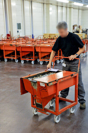 Suriet 27: Mintage of coins