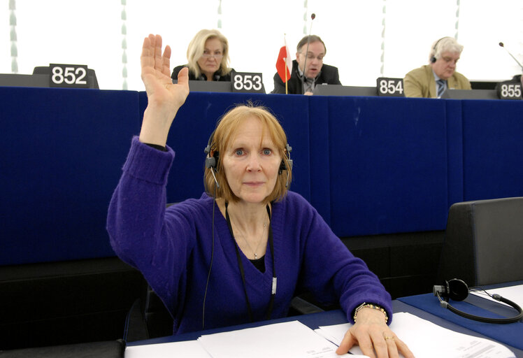 Fotografija 3: Kathy SINNOTT MEP in Plenary Session in Strasbourg