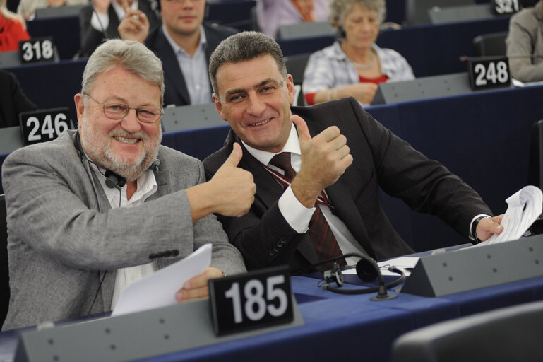 Photo 45: MEP in Plenary session in Strasbourg - week 39