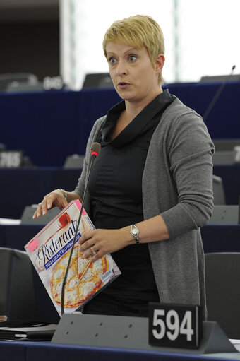 Photo 2: MEP in the hemicycle during the plenary session in Strasbourg - Week 27