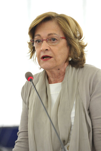 Plenary session - Week 27