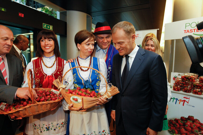 Fotografija 5: Polish strawberries distribution with EP President and Polish Prime Minister