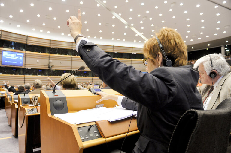 Fotografie 4: Vote during the Plenary session in Brussels - Week 25