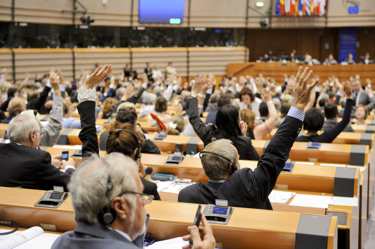 Fotografie 3: Vote during the Plenary session in Brussels - Week 25