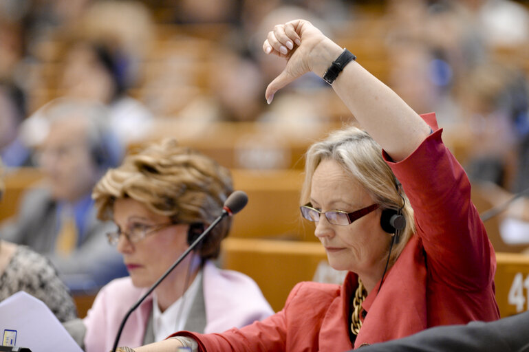Fotografie 6: Vote during the Plenary session in Brussels - Week 25