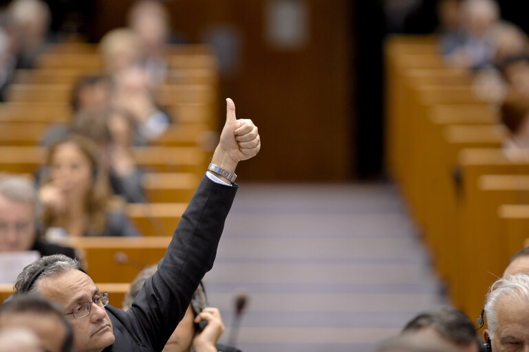 Fotografie 8: Vote during the Plenary session in Brussels - Week 25