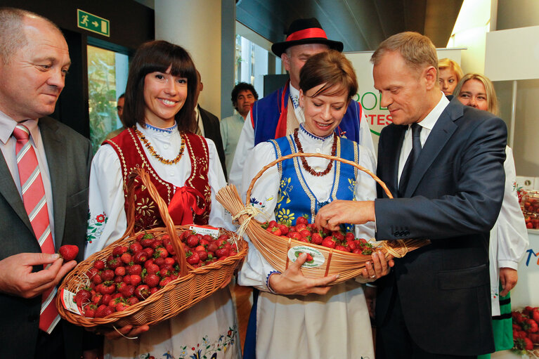 Fotografija 6: Polish strawberries distribution with EP President and Polish Prime Minister