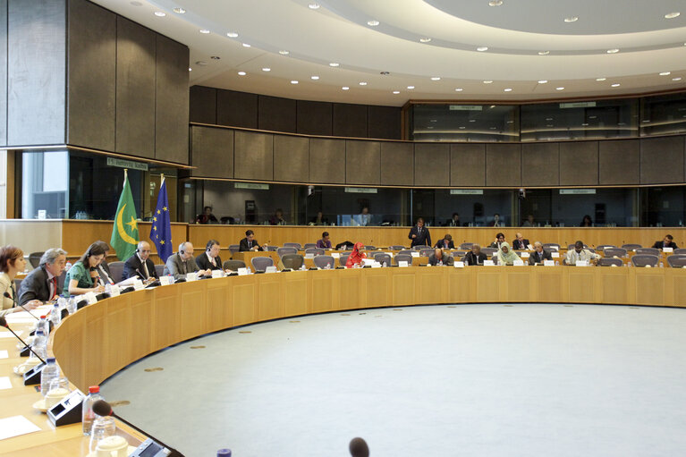 Fotografija 1: 7th Interparliamentary and European Parliament meeting with Islamic Republic of Mauritania