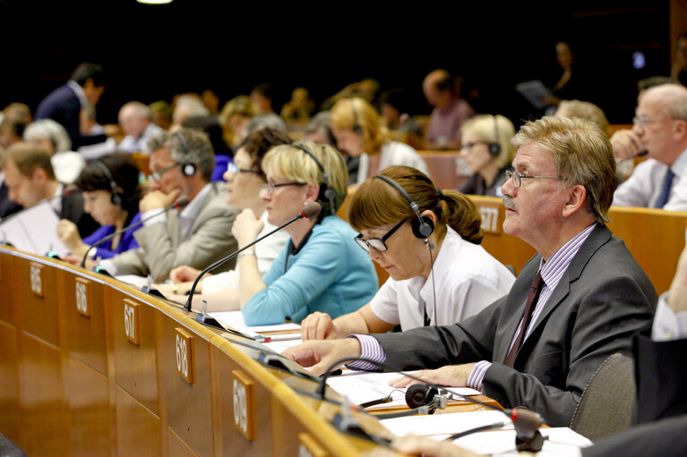 Photo 2 : Plenary session in Brussels - week 25