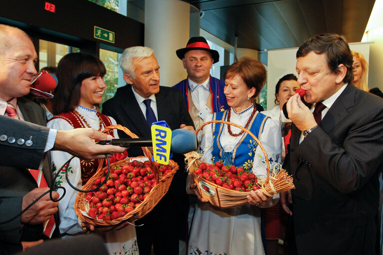 Fotografija 2: Polish strawberries distribution with EP President and Polish Prime Minister