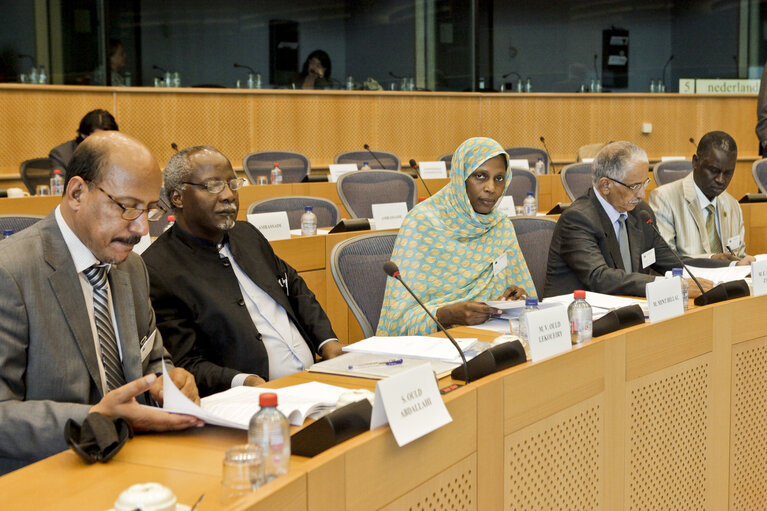 Fotografija 14: 7th Interparliamentary and European Parliament meeting with Islamic Republic of Mauritania