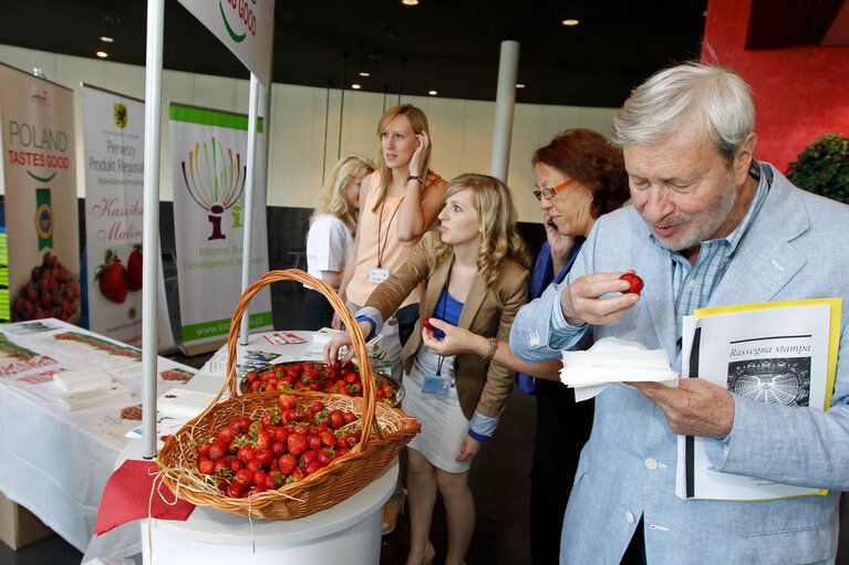 Fotografija 10: Polish strawberries distribution with EP President and Polish Prime Minister