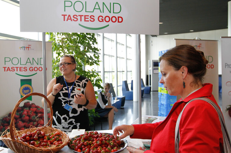 Fotografija 8: Polish strawberries distribution with EP President and Polish Prime Minister