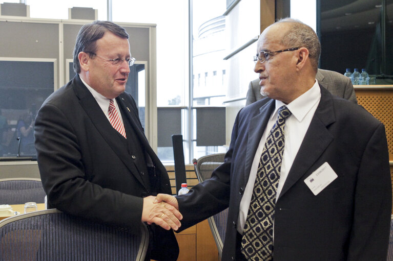 Fotografija 13: 7th Interparliamentary and European Parliament meeting with Islamic Republic of Mauritania