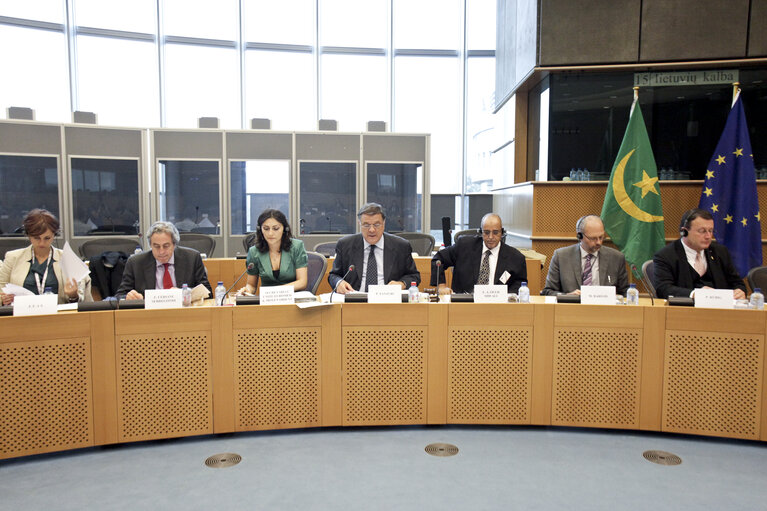 Fotografija 10: 7th Interparliamentary and European Parliament meeting with Islamic Republic of Mauritania