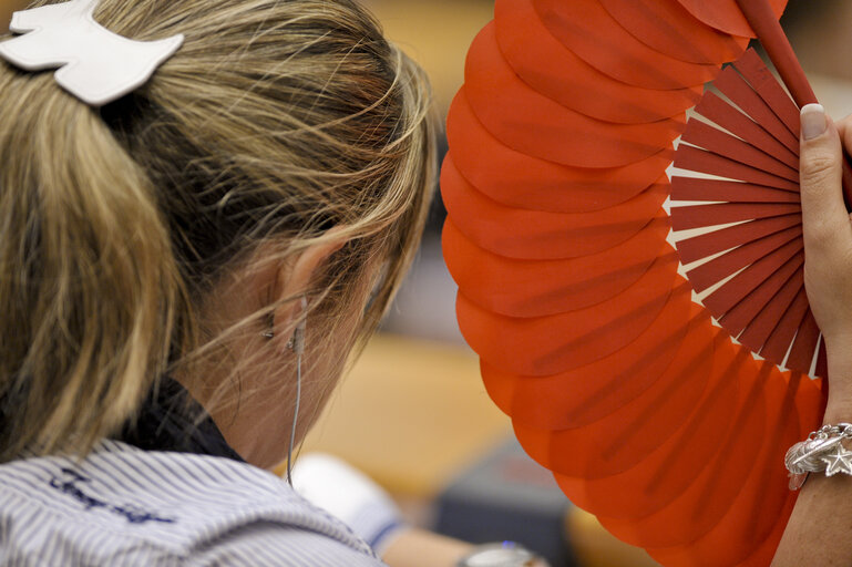 Fotografie 1: Vote during the Plenary session in Brussels - Week 25