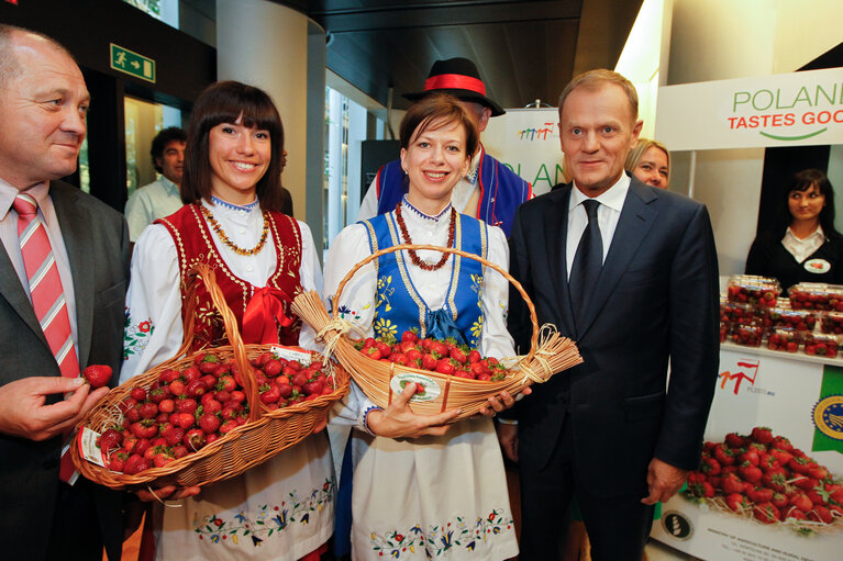 Fotografija 7: Polish strawberries distribution with EP President and Polish Prime Minister