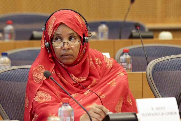 Fotografija 7: 7th Interparliamentary and European Parliament meeting with Islamic Republic of Mauritania