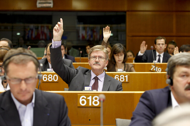 Photo 4 : Plenary session in Brussels - week 25