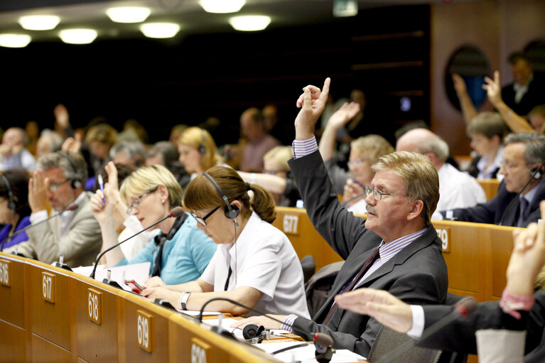 Photo 3 : Plenary session in Brussels - week 25