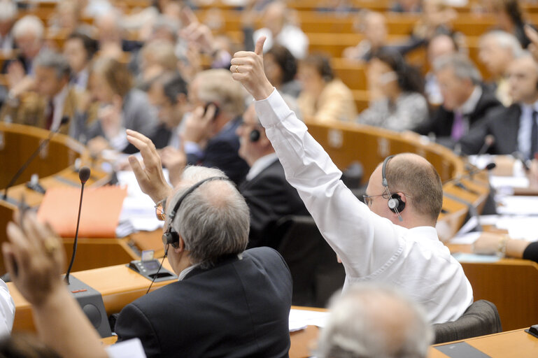 Fotografie 7: Vote during the Plenary session in Brussels - Week 25