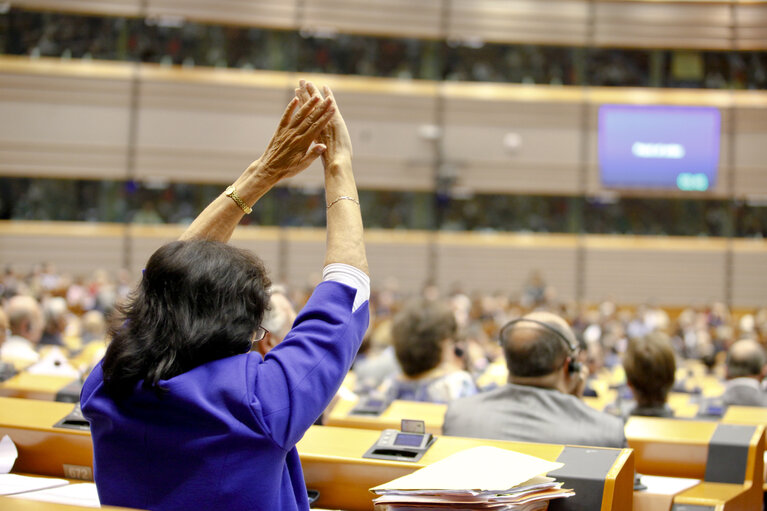 Снимка 5: Plenary session in Brussels - week 25