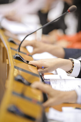 Fotografie 2: Vote during the Plenary session in Brussels - Week 25